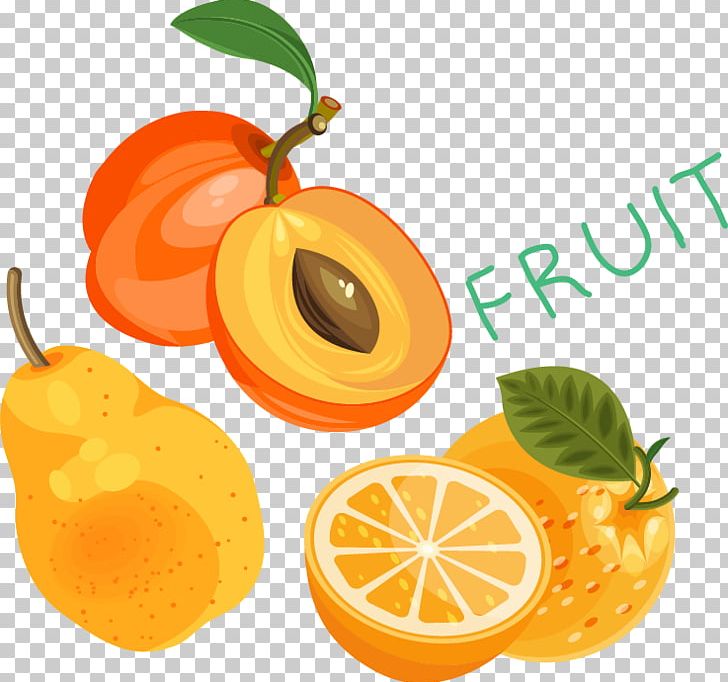 Clementine Mandarin Orange PNG, Clipart, Adobe Illustrator, Citrus, Food, Fruit, Fruit Nut Free PNG Download