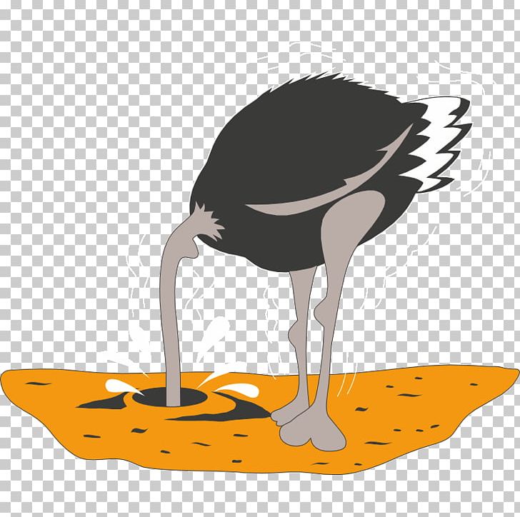 Common Ostrich Drawing PNG, Clipart, Animal, Beak, Bird, Ciconiiformes, Common Ostrich Free PNG Download