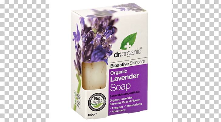 English Lavender Lotion Sedative Herb Flavor PNG, Clipart, Amplificador, English Lavender, Flavor, Herb, Herbal Free PNG Download