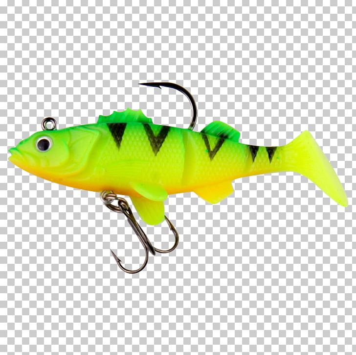 Fishing Baits & Lures Northern Pike Perch PNG, Clipart, Amp, Amphibian,  Angling, Baby, Bait Free PNG