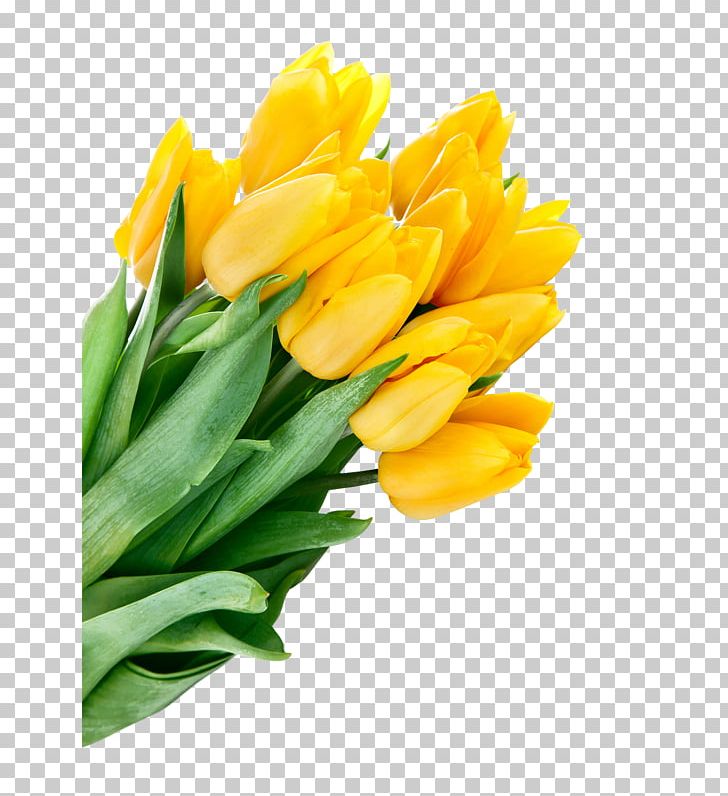 Tulip Flower Bouquet Yellow Desktop PNG, Clipart,  Free PNG Download