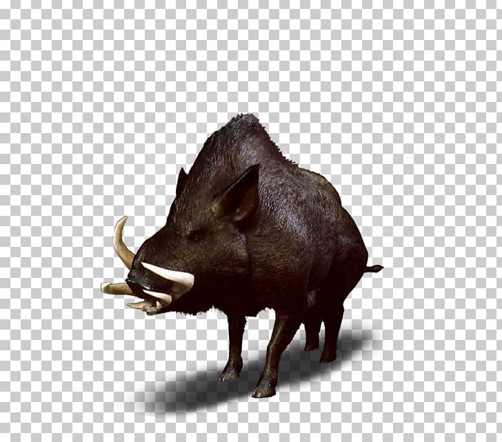 Wild Boar The Witcher 3: Wild Hunt Peccary Wiedźmin PNG, Clipart, Bestiary, Boar, Fauna, Game, Mammal Free PNG Download