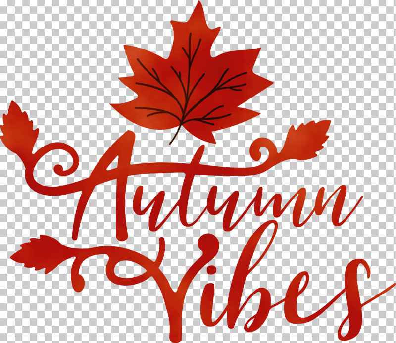 Maple Leaf PNG, Clipart, Autumn, Biology, Fall, Flower, Leaf Free PNG Download