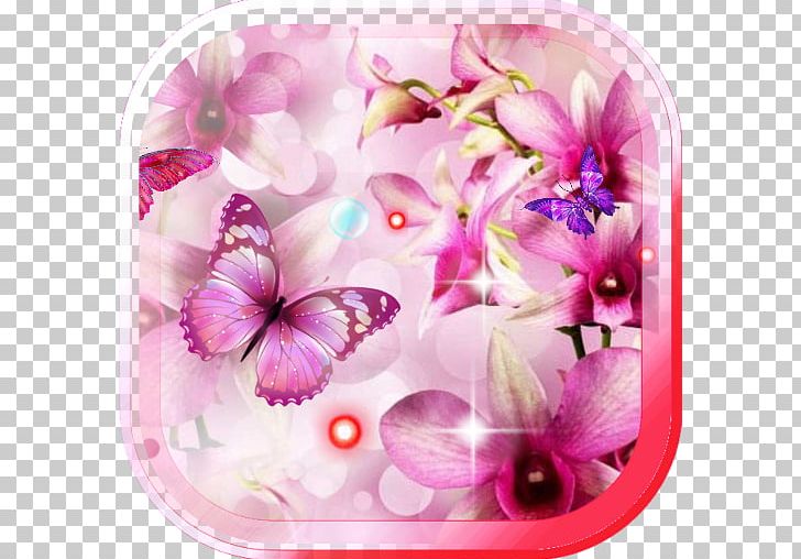 Dendrobium Orchids Moth Orchids Flower PNG, Clipart, Android, Animaatio, App, Aptoide, Blossom Free PNG Download