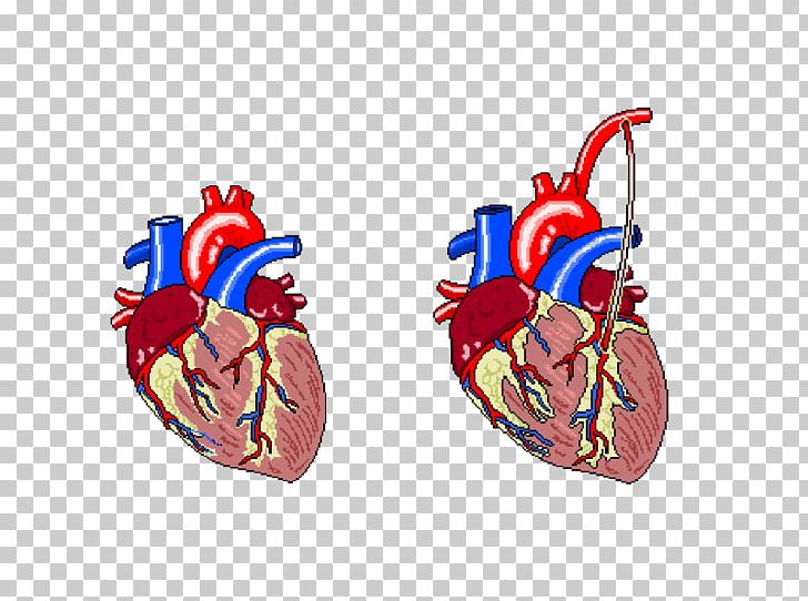 Heart Rate Electrocardiography Cardiac Muscle Myocardial Infarction PNG, Clipart, American Heart Association, Bundle Of Balloons, Cardiac Muscle, Einthovens Triangle, Electrocardiography Free PNG Download