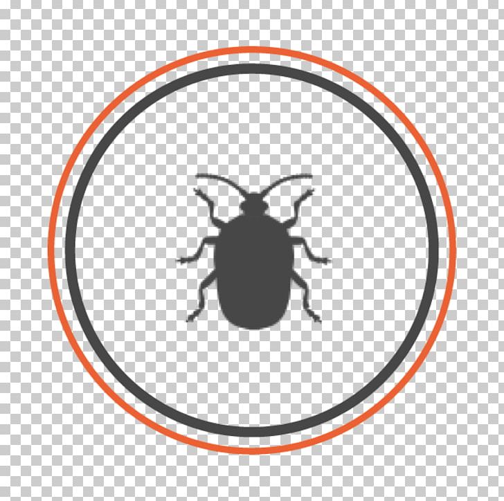 Beetle Allgood Pest Solutions Brown Marmorated Stink Bug Bed Bug PNG, Clipart, Animals, Area, Arthropod, Artwork, Atlanta Free PNG Download