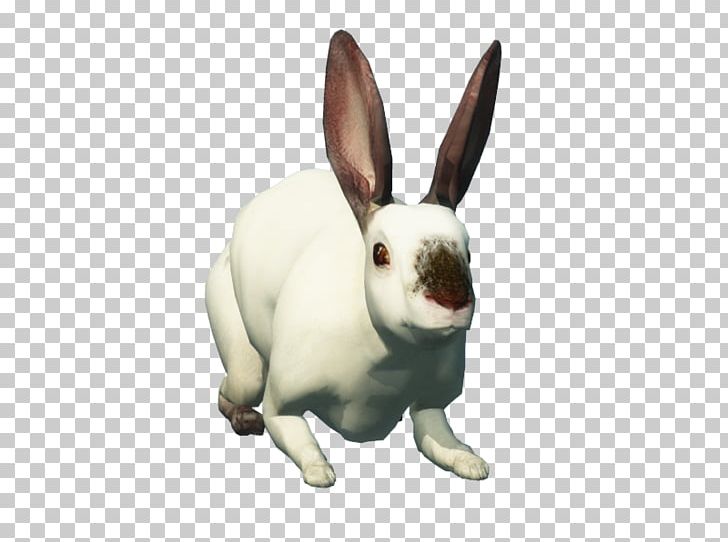 Hare Domestic Rabbit Easter Bunny Pet PNG, Clipart, Animal, Animal Figure, Animals, Domestic Rabbit, Easter Free PNG Download