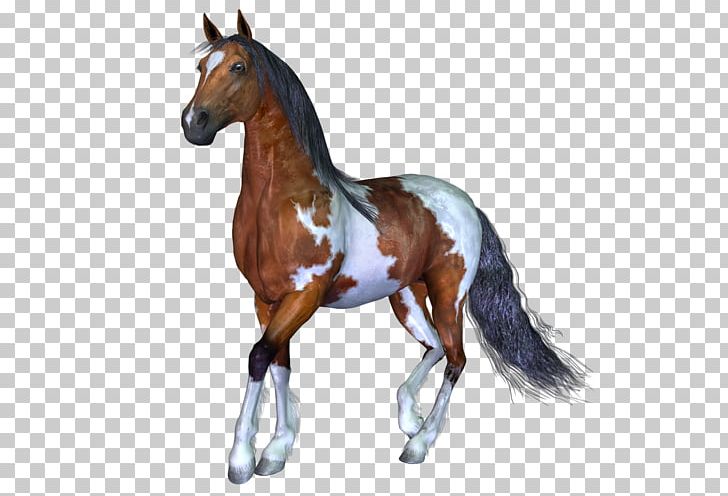 Mustang Foal Stallion Colt Mare PNG, Clipart, Animal, Animal Figure, Black, Bridle, Colt Free PNG Download