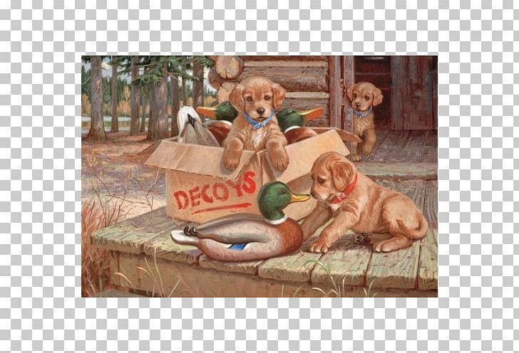 Puppy Golden Retriever Vizsla Labrador Retriever Jigsaw Puzzles PNG, Clipart, Animal, Animals, Carnivoran, Decoy, Dog Free PNG Download