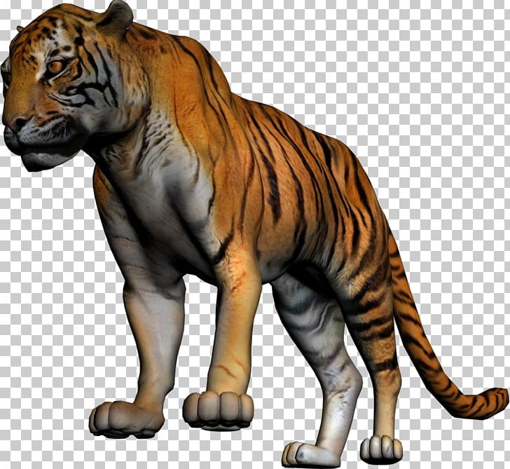 Siberian Tiger Lion Cat Animal White Tiger PNG, Clipart, Animal, Animals, Big Cat, Big Cats, Carnivora Free PNG Download