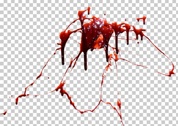 Blood PNG, Clipart, Blood, Branch, Computer Icons, Data Compression, Desktop Wallpaper Free PNG Download
