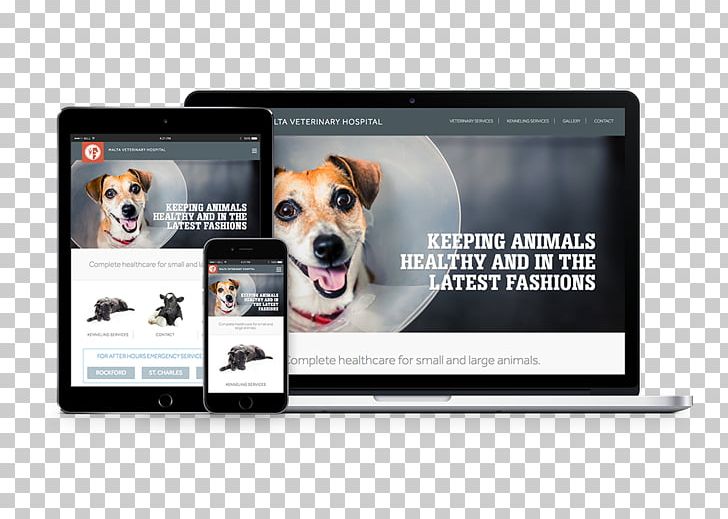 Malta Veterinary Hospital Balcom-Vetillo Design PNG, Clipart, Advertising, Brand, Dekalb County Illinois, Display Advertising, Dog Free PNG Download