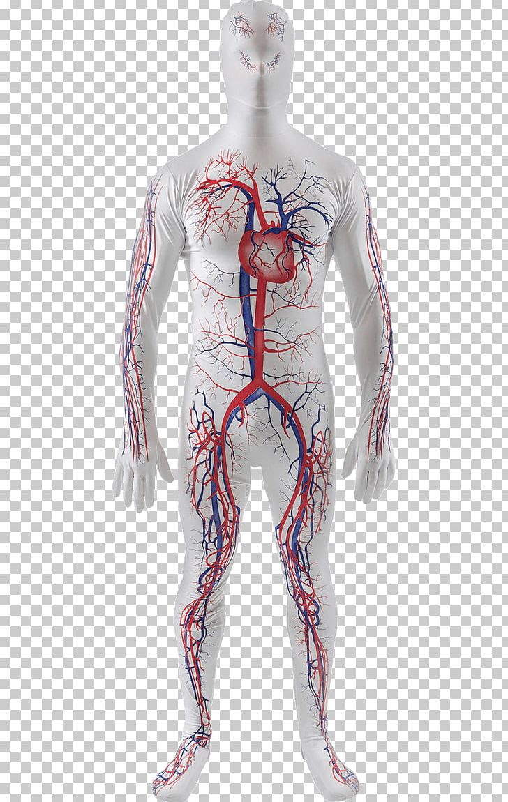 Tracksuit Circulatory System Costume Human Body PNG, Clipart, Abdomen, Anatomy, Arm, Artery, Blood Vessel Free PNG Download
