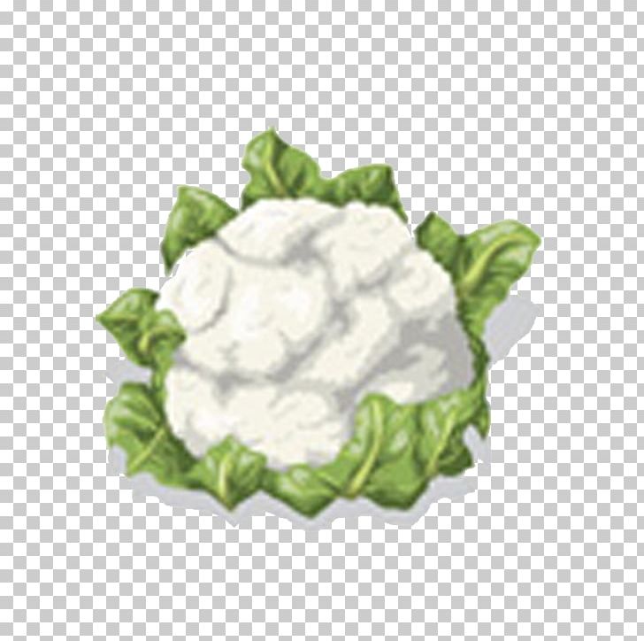 Cauliflower Vegetable PNG, Clipart, Broccoli, Broccoli 0 0 3, Broccoli Art, Broccoli Dog, Broccoli Sketch Free PNG Download
