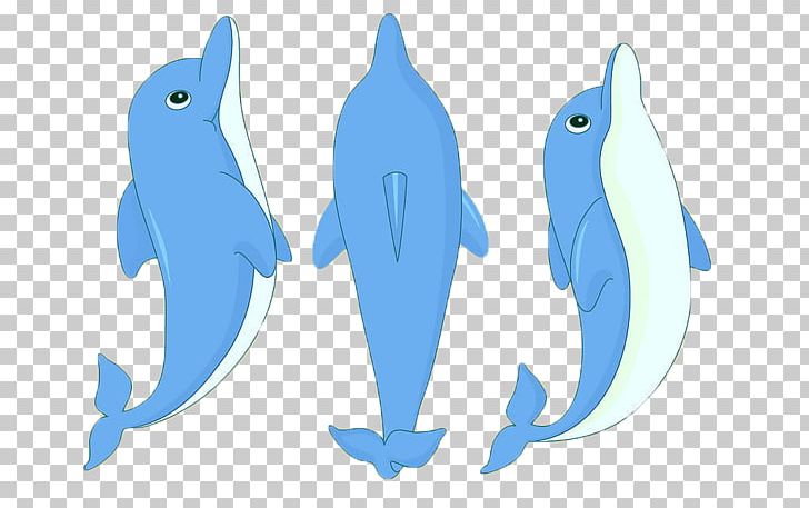Dolphin Cartoon PNG, Clipart, Animal, Animals, Anime Character, Anime Girl, Cartoon Free PNG Download