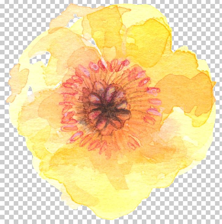 Flower Watercolor Painting Yellow PNG, Clipart, Art, Color, Floral Design, Flower, Flowering Plant Free PNG Download