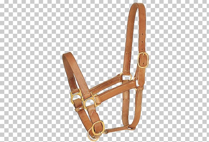 Halter Leather Equestrian Umbria PNG, Clipart, Bit, Chair, Equestrian, Furniture, Halter Free PNG Download