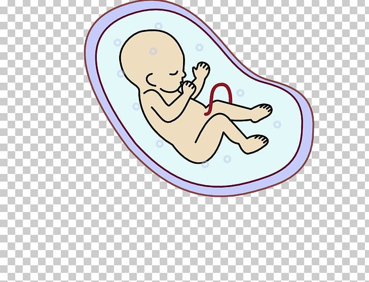 Human Embryogenesis Fetus PNG, Clipart, Area, Computer Icons, Embryo, Fetus, Fictional Character Free PNG Download