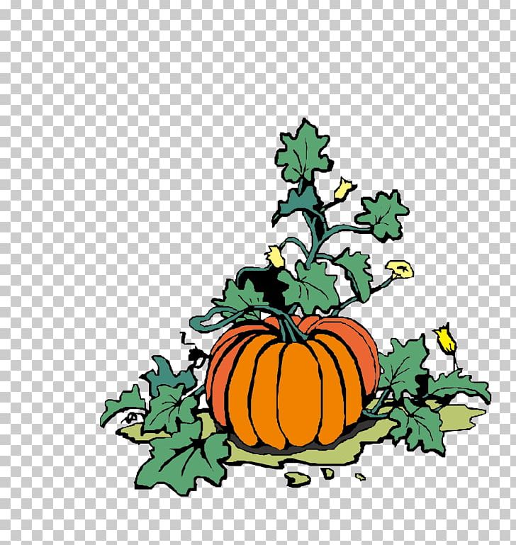 Pumpkin Jack-o-lantern Halloween Vegetable PNG, Clipart, Calabaza, Cucurbita, Fictional Character, Floral Design, Flower Free PNG Download