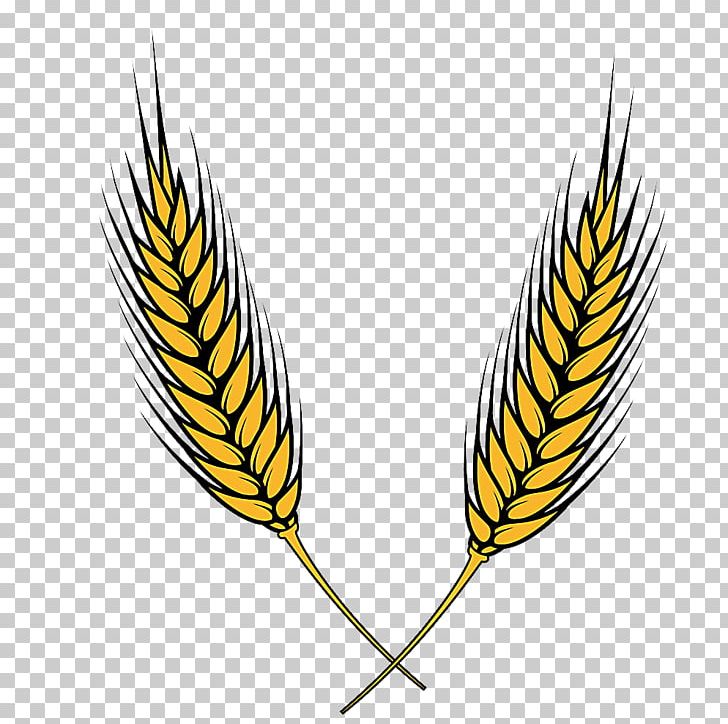 Wheat Ear PNG, Clipart, Beak, Cartoon Wheat, Cereals, Commodity, Crop Free PNG Download
