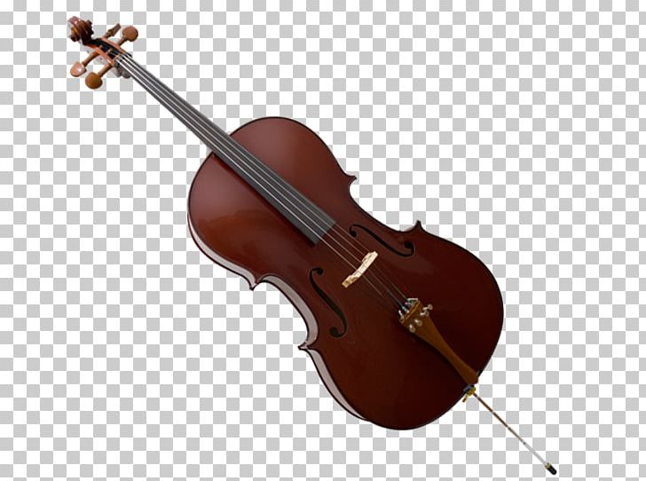 Bass Violin Viola Violone Double Bass Cello PNG, Clipart, Bass, Bass Violin, Bowed String Instrument, Cello, Double Bass Free PNG Download
