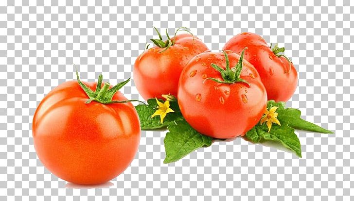 Cherry Tomato Pizza Vegetable Cucumber Seed PNG, Clipart, Beefsteak Tomato, Bush Tomato, Carrot, Diet Food, Flower Free PNG Download