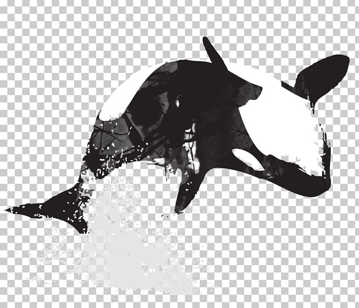 Killer Whale Art PNG, Clipart, Animals, Art, Black, Black And White, Button Free PNG Download