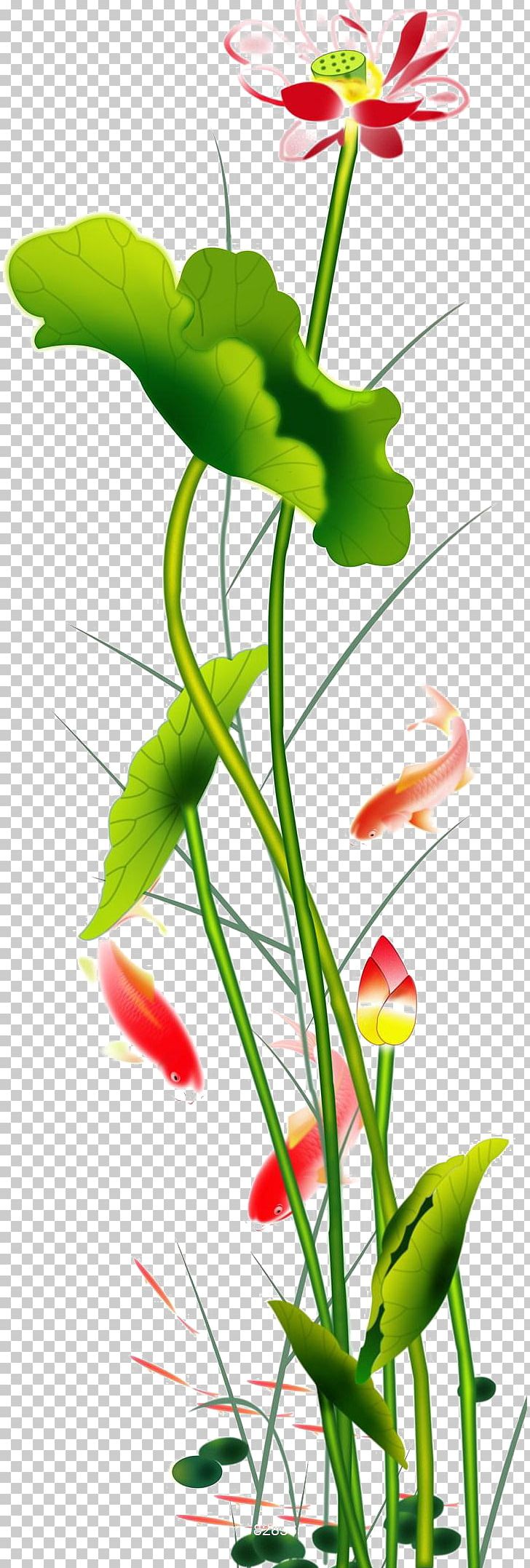 Sixeau Thu1ecb Tranh AmiA Nelumbo Nucifera U0110xf4ng Hu1ed3 Painting Oil Painting PNG, Clipart, Bedroom, Color, Drawing Room, Flora, Floral Design Free PNG Download