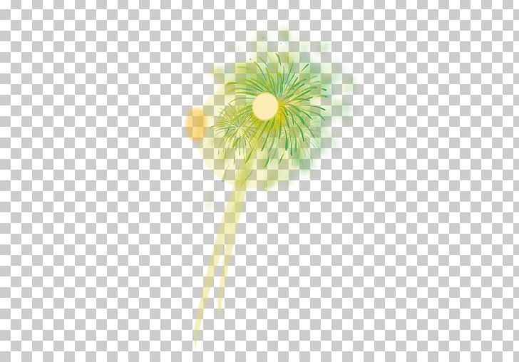 Flower Carnation Drawing PNG, Clipart, Carnation, Cartoon, Color, Daisy, Daisy Family Free PNG Download