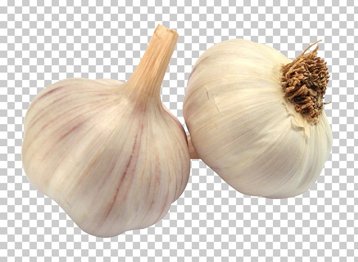 Garlic Bread Garlic Soup Shallot PNG, Clipart, Elephant Garlic, Food, Garlic, Garlic Bread, Garlic Soup Free PNG Download