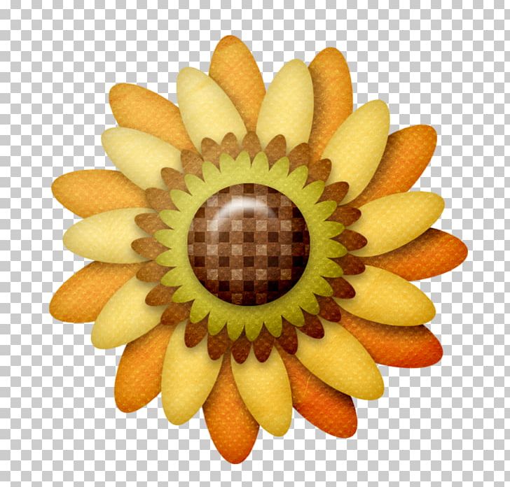 Sunflower M Close-up PNG, Clipart, Closeup, Close Up, Daisy, Daisy Family, Flower Free PNG Download