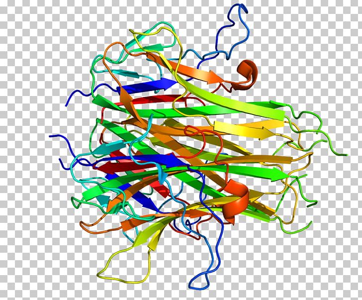 Vascular Endothelial Growth Inhibitor Tumor Necrosis Factor Superfamily Death Receptor 3 Protein Superfamily PNG, Clipart, 0 O, Artwork, Chemical Structure, Crystal, Gene Free PNG Download