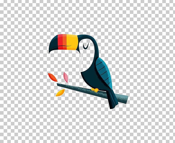 Bird Parrot Toucan Macaw PNG, Clipart, Animals, Beak, Birds, Cartoon, Cartoon Parrot Free PNG Download