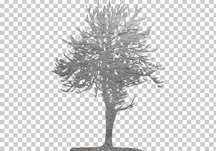 Twig Computer Icons PNG, Clipart, Black, Black And White, Branch, Color, Computer Icons Free PNG Download