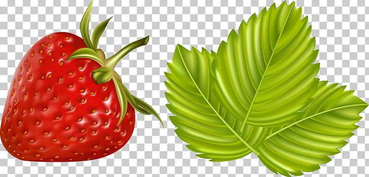 Berries Drawing Illustration PNG, Clipart, Berries, Diet Food, Drawing, Food, Fruit Free PNG Download