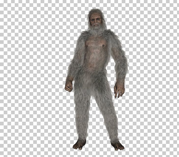 Bigfoot Yeti Paranormal Scientist PNG, Clipart, Bigfoot, Costume, Fact, Figurine, Fur Free PNG Download