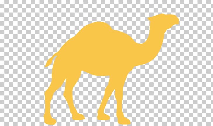 Dromedary Silhouette PNG, Clipart, Adobe Illustrator, Animals, Arabian Camel, Been Vector, Camel Free PNG Download