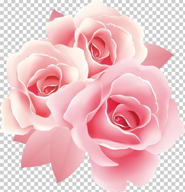 Rose Flower PNG, Clipart, China Rose, Clip Art, Closeup, Cut Flowers, Decoupage Free PNG Download