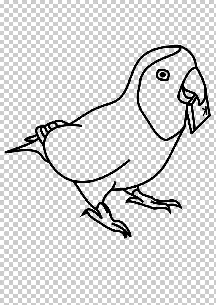 Beak Drawing Line Art PNG, Clipart, Area, Art, Artwork, Beak, Bird Free PNG Download