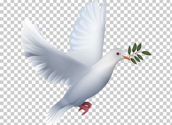 Information Tinglev Sogn Peace PNG, Clipart, Beak, Bird, Church, Colombe, Feather Free PNG Download