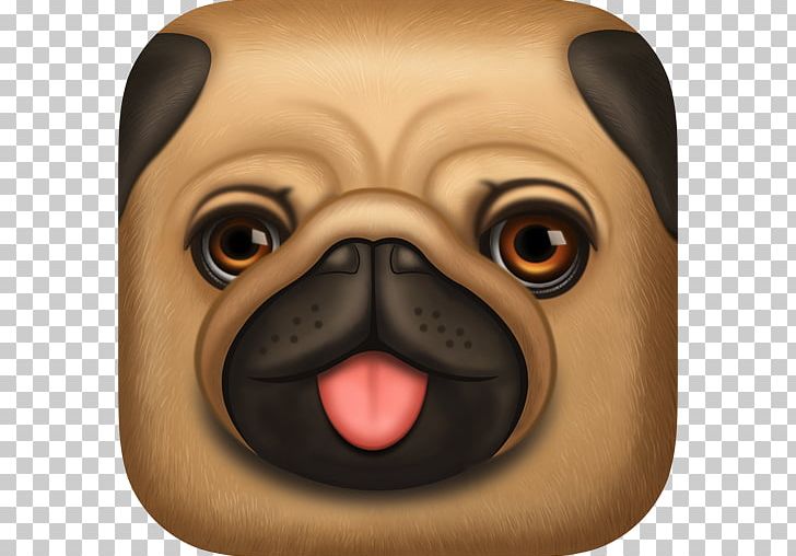Pug Puppy Dog Breed Toy Dog PNG, Clipart, Animals, App Store, Carnivoran, Couple, Dog Free PNG Download