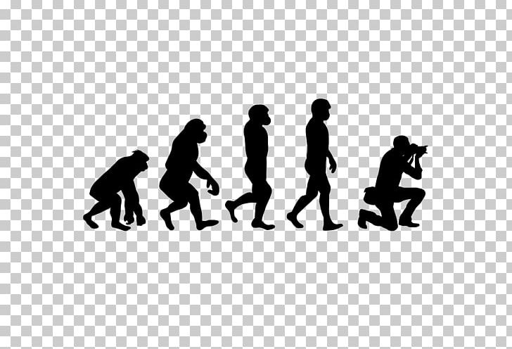 T-shirt Human Evolution Zazzle Clothing PNG, Clipart, Basketball, Black, Black And White, Brand, Clothing Free PNG Download