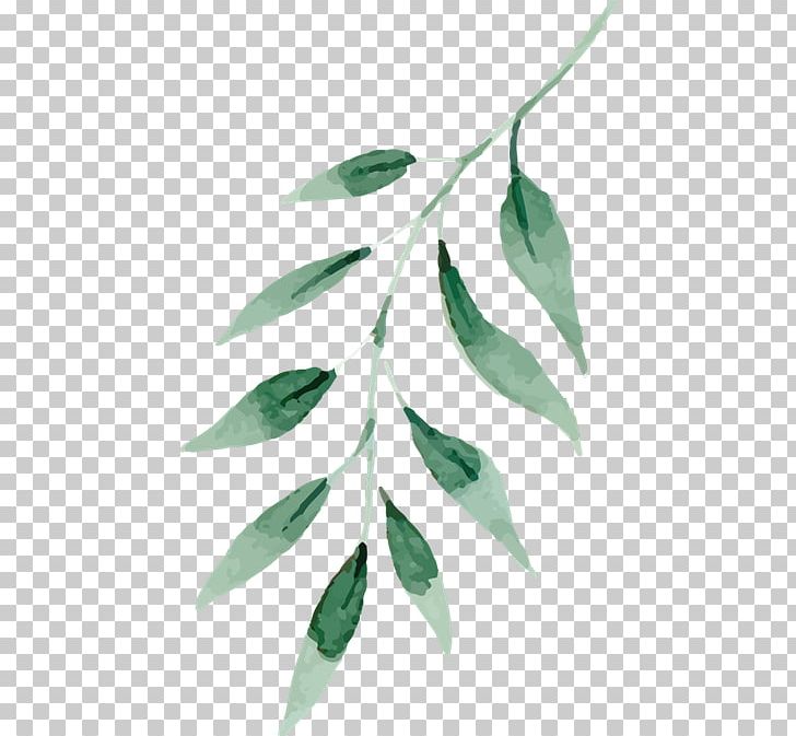 Watercolor Painting Drawing Green Leaf PNG, Clipart, Art, Blue, Branch, Color, Drawing Free PNG Download