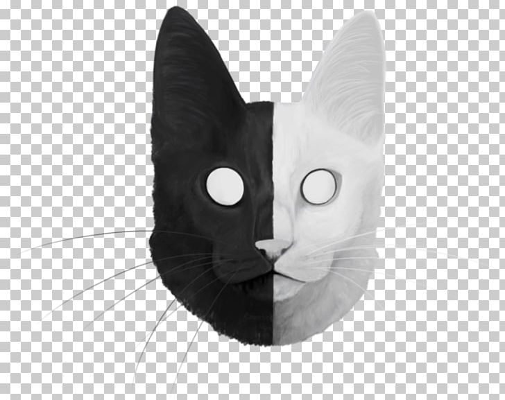 Whiskers Cat Black White Snout PNG, Clipart, Black, Black And White, Black Cat, Black M, Carnivoran Free PNG Download