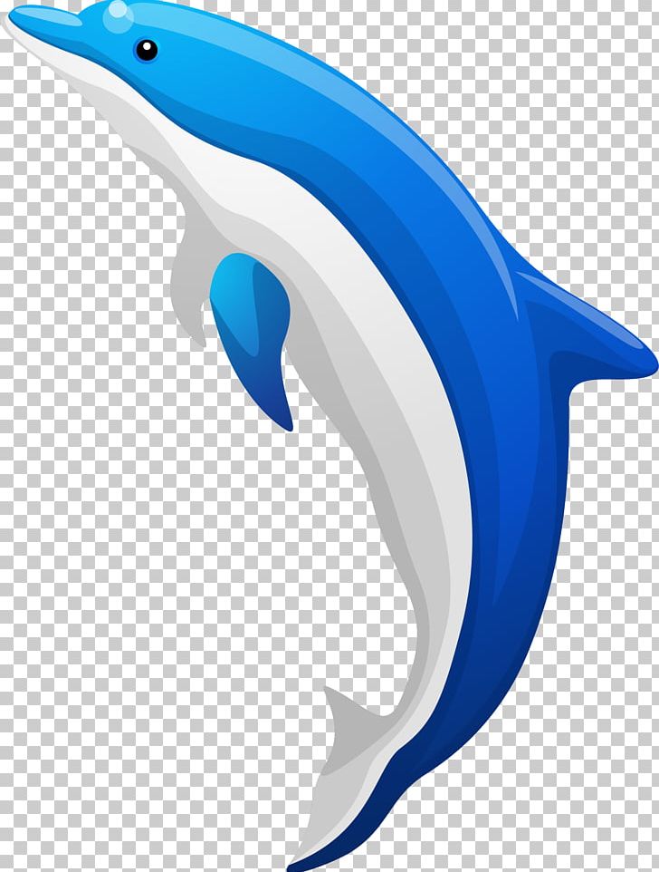 Common Bottlenose Dolphin Tucuxi PNG, Clipart, Animals, Balloon Cartoon, Blue, Blue Background, Cartoon Free PNG Download