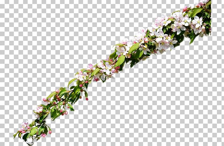 Flower Floral Design Twig PNG, Clipart, Art, Blossom, Branch, Deviantart, Floral Design Free PNG Download