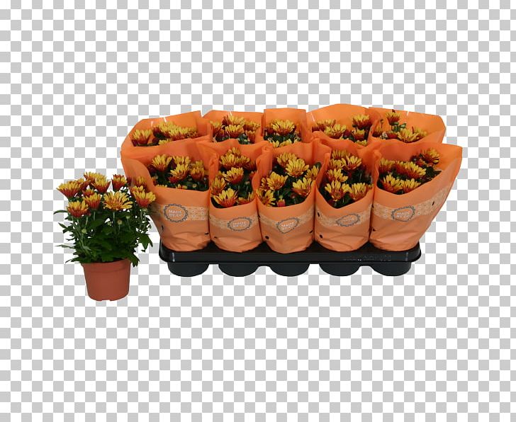 Chrysanthemum ×grandiflorum Plant Hyacinth Sweet Alyssum Orange PNG, Clipart, Bulb, Centimeter, Chrysanthemum, Chrysanthemum Grandiflorum, Finger Food Free PNG Download