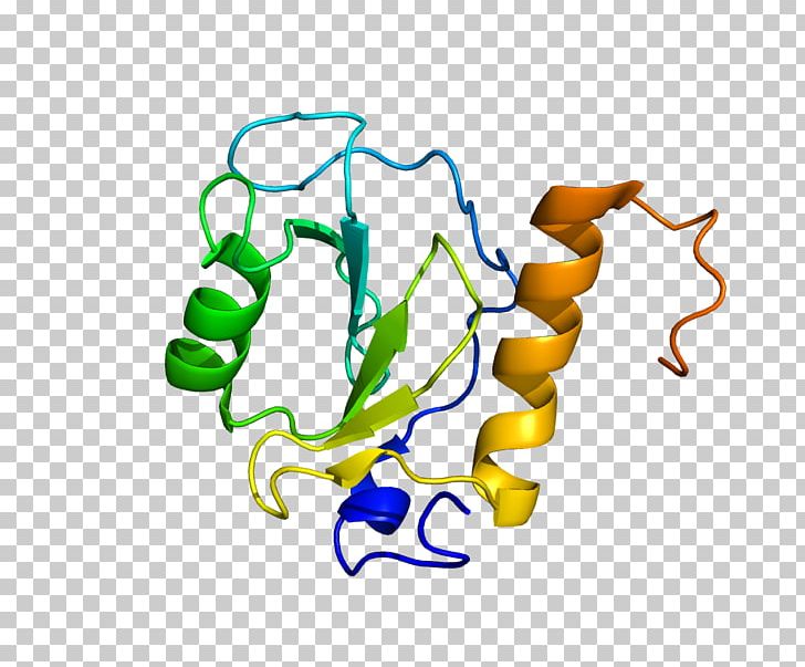 HDAC6 Histone Deacetylase Protein Histone Acetylation And Deacetylation PNG, Clipart, 3 C, 5 K, Acetylation, Area, Artwork Free PNG Download