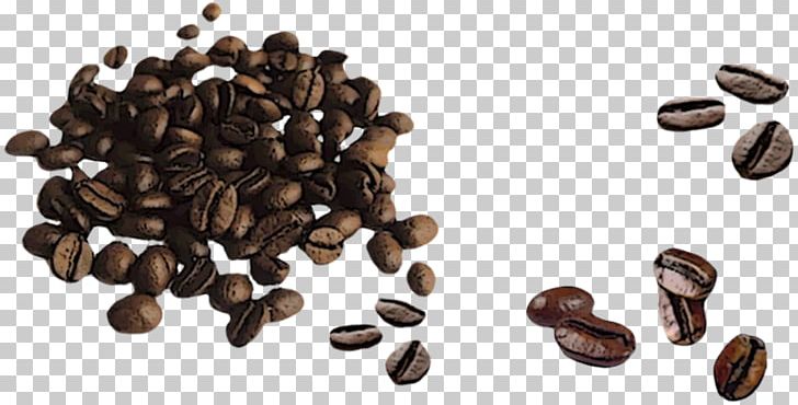 Ipoh White Coffee Hong Kong-style Milk Tea Cafe Coffee Bean PNG, Clipart, Bean, Beans, Brewed Coffee, Cafe, Cocoa Bean Free PNG Download