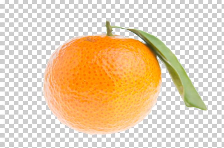 Mandarin Orange Tangerine Clementine Bitter Orange Rangpur PNG, Clipart, Bitter Orange, Blood Orange, Chenpi, Citric Acid, Citrus Free PNG Download